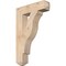 Ekena Millwork Funston Craftsman Smooth Bracket, Douglas Fir, 3 1/2"W x 16"D x 24"H BKT04X16X24FST04SDF - alternate 1